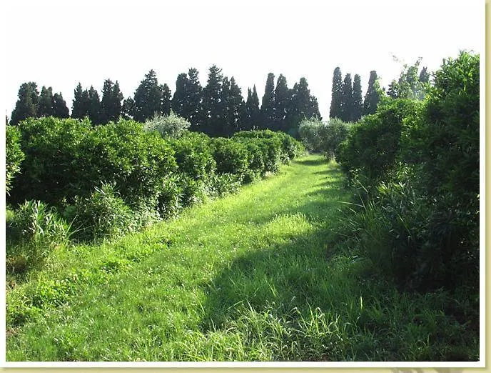 Codavolpe Giardino Di Tea Giarre Appartement
