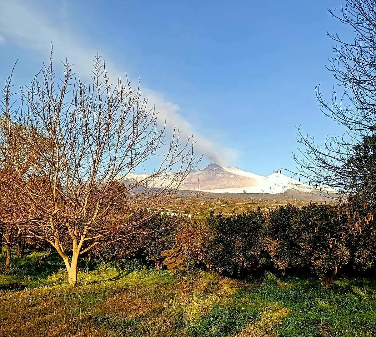 Codavolpe Giardino Di Tea Giarre 0*,
