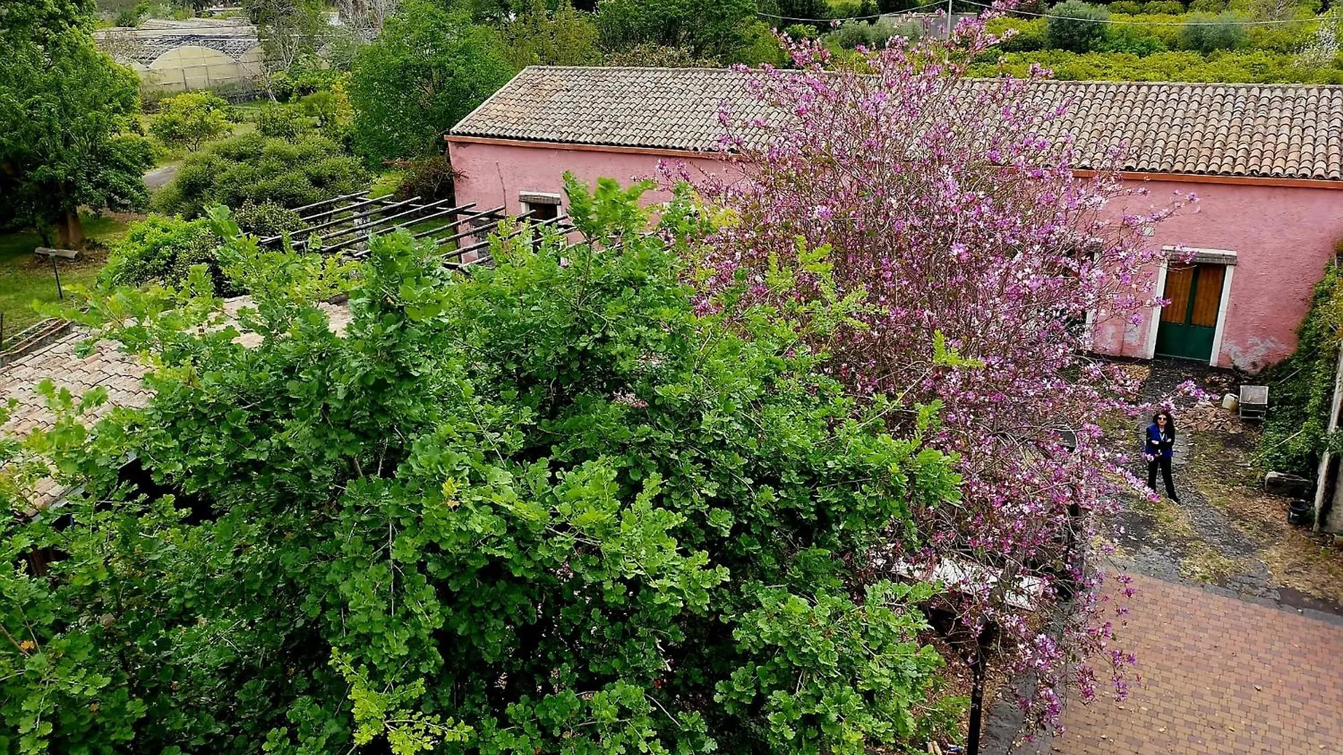Appartement Codavolpe Giardino Di Tea Giarre