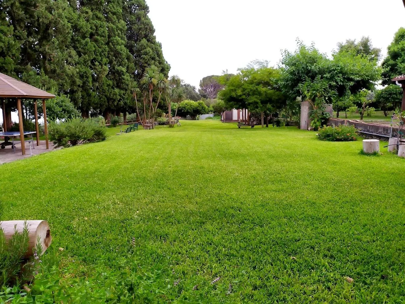 Appartement Codavolpe Giardino Di Tea Giarre
